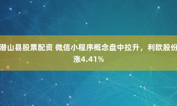 潜山县股票配资 微信小程序概念盘中拉升，利欧股份涨4.41%