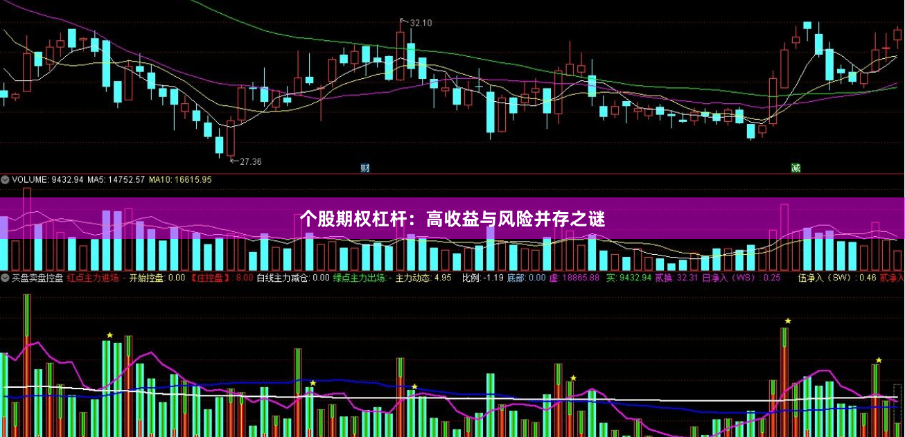 个股期权杠杆：高收益与风险并存之谜